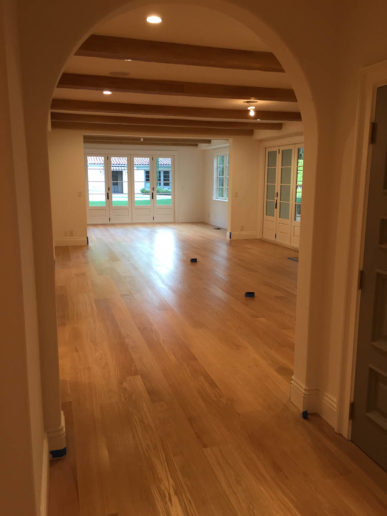 DHF Front Room Hardwood